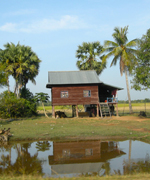 Cambodian Country Scene