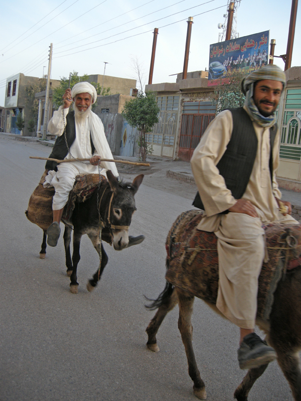 Oldmanondonkey