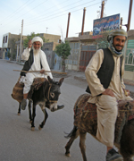 Oldmanondonkey